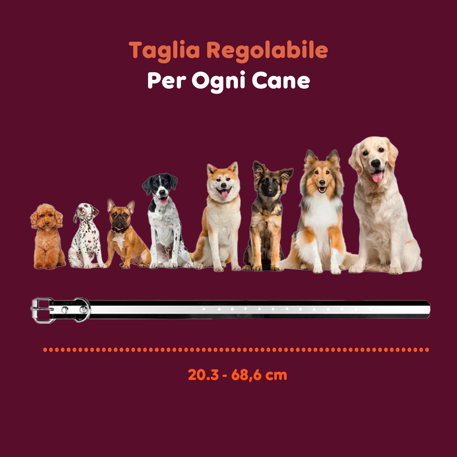 Avilia - Collare per Cani con Telecomando Impermeabile IPX7 Ricaricabile Portata 1000mt Collare Regolabile per Tutte le Taglie