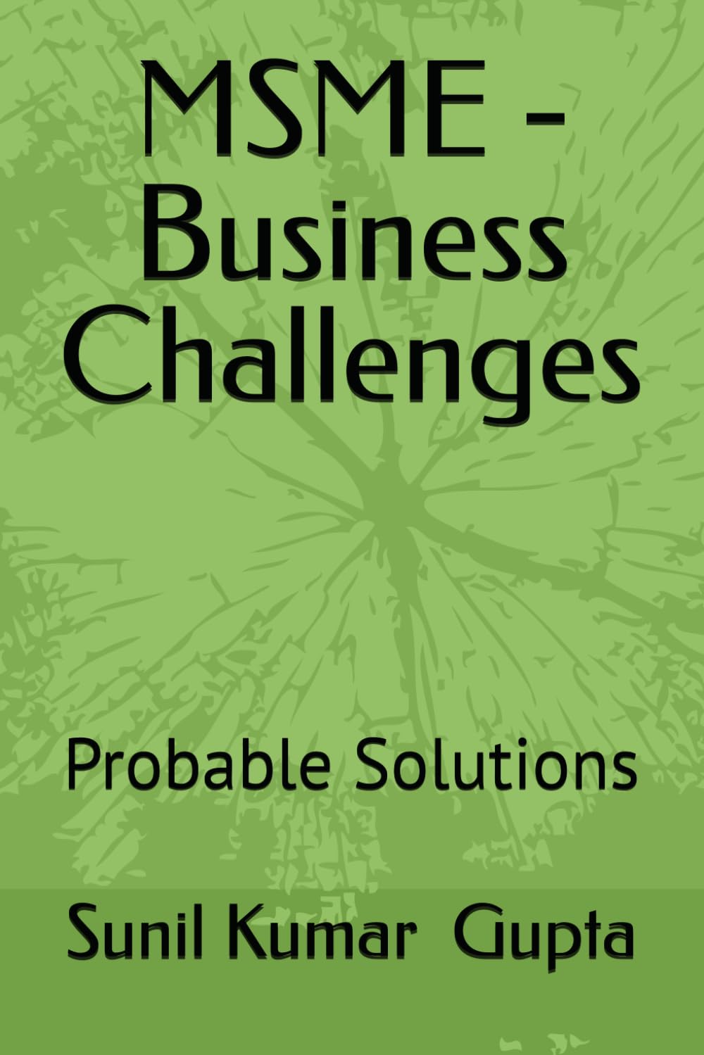 MSME -Business Challenges: Probable Solutions