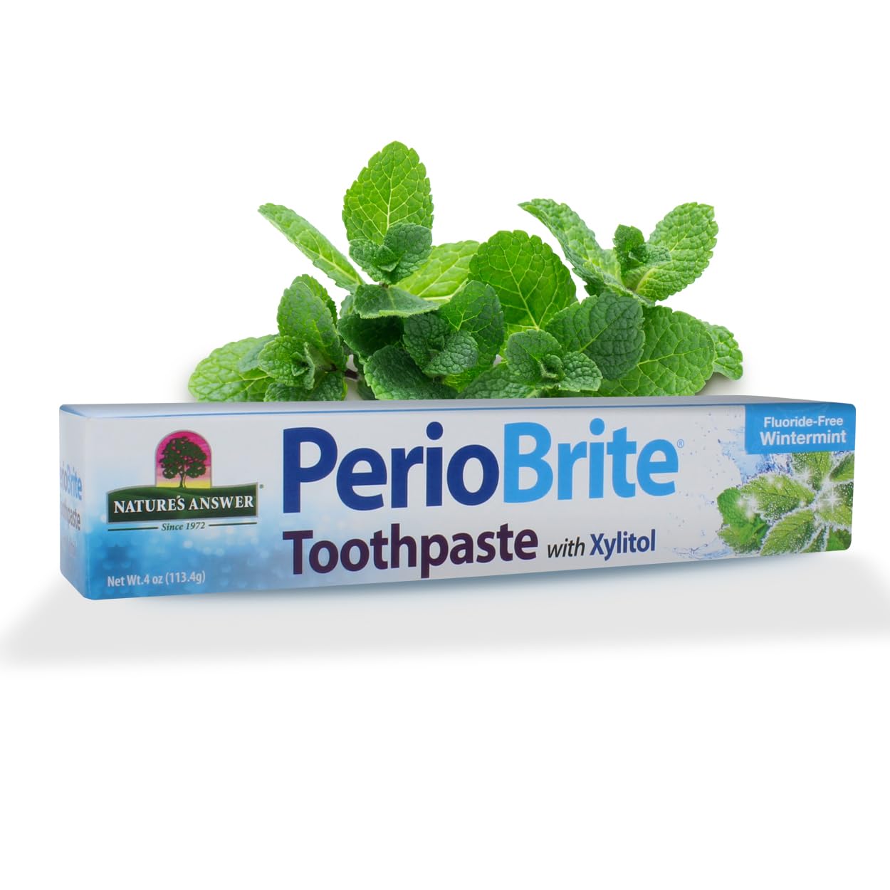 Nature's Answer Periobrite Natural Toothpaste, Cinamint, 4 Ounce, 3 Count