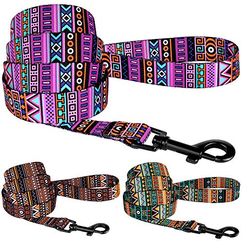 CollarDirect Aztec Dog Leash Nylon Tribal Pattern Cat Pet Leashes for Small Medium Large Dogs Puppy Lead 5 FT Long for Walking (Pattern 2, L)