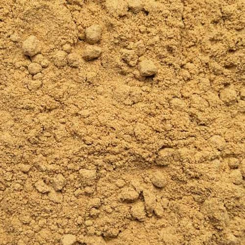 Ingwerpulver Bio 100g - Ingwer - Ingwerwurzel gemahlen - z.B. für Ingwertee und Ingwerwasser - Abgefüllt und kontrolliert in Deutschland - Biotiva