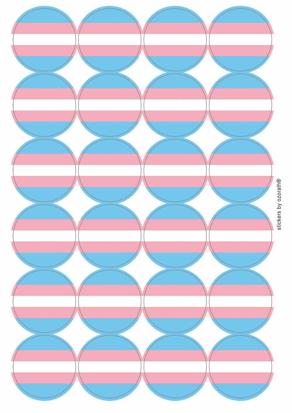 Transgender Trans Flag LGBTQ Pride Circular Matt Paper Stickers A4 Sheet of 24 (Each Sticker is 45mm Diameter)