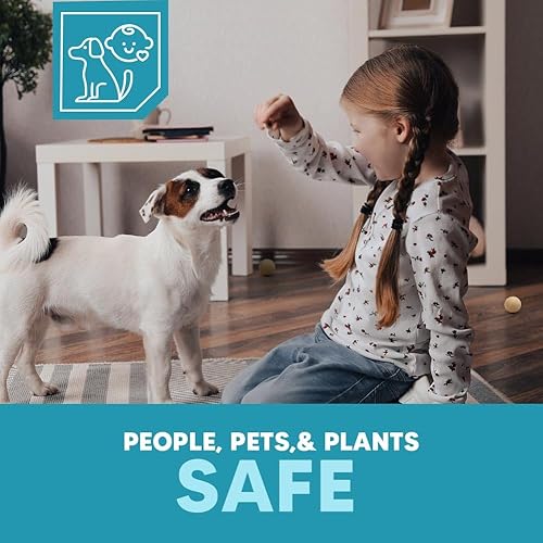 Miniatura 4 de Repelente de roedores para interiores, repelente de ratones, repelente de ratones en interiores, repelente de ratas, ratones de menta y disuasorio