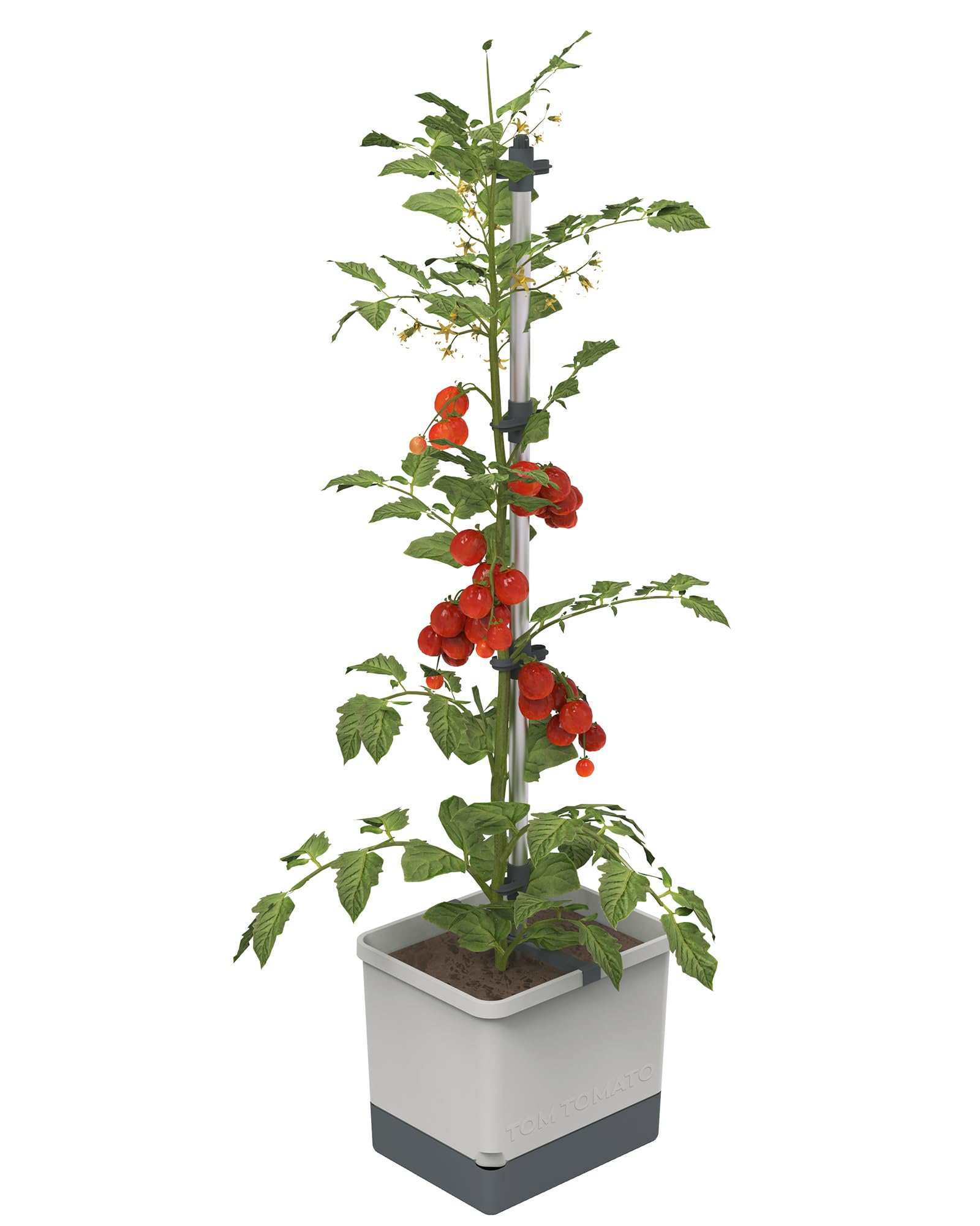 Gusta Garden Light Grey Tom Tomato Tomato Pot - Planter With Climbing Aid, Self-Watering System & Plant Clips - 4.5L Water Reservoir & 20L Soil Capacity