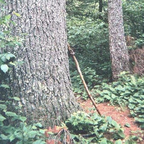 Million Steps- Beufort Lake to Van Riper Podcast Por  arte de portada