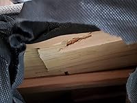 Review Image by Michael Michael