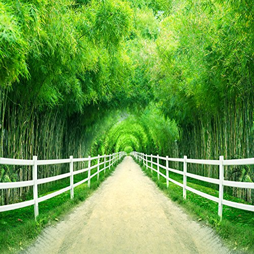 Papel pintado fotográfico 3D de camino de bambú para sala de estar, arte de pared no tejido para dormitorio, tamaño grande, 350 x 256 cm