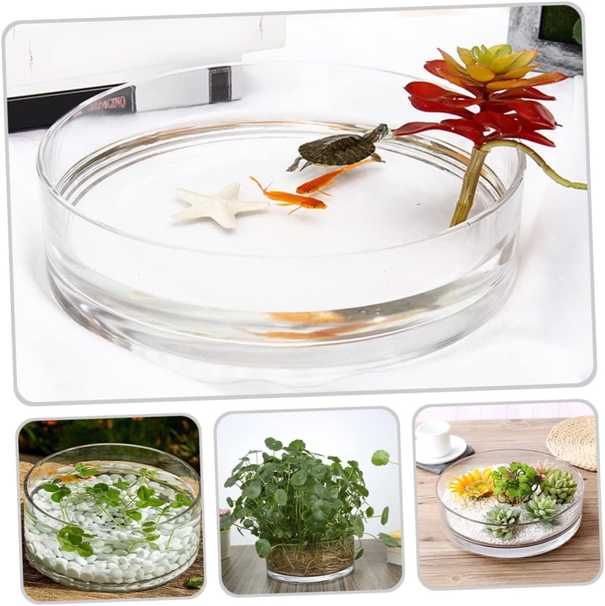 Capacity Glass Flowerpot Vase for Centerpieces Terrarium Decor Home Plant Pot Hydroponic Planter