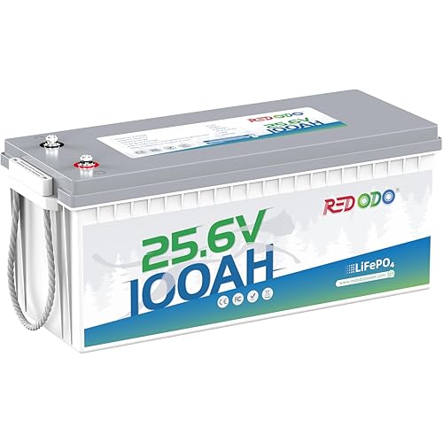 Redodo 24V 100Ah LiFePO4 Lithium Battery, Max. 2560W Power Output, Built in 100A BMS, 4000-15000 Deep Cycles & 10-Year Lifetime, Perfect for RV, Marine, Trolling Motor, Solar Off-Grid System