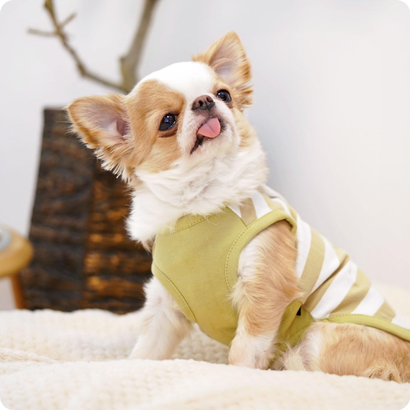 UNAGE背中開きタンク&ボーダーインナータンク2点セット新品未開封M Amazon | iDog UNAGE ウェルネスウェア 背中開きタンク アイドッグS