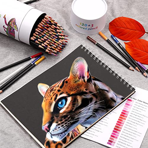 Kalour KA-CPS120-TU Premium Colored Pencils,Set Of 120 Colors,Artists Soft Core thumb #5
