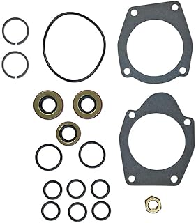 RAParts 363783R94 Thompson Hydraulic Pump Seal, O-Ring and Gasket Set Fits International I4 H HV Super H Super HV O4 OS4 Super W4 W4 300 350