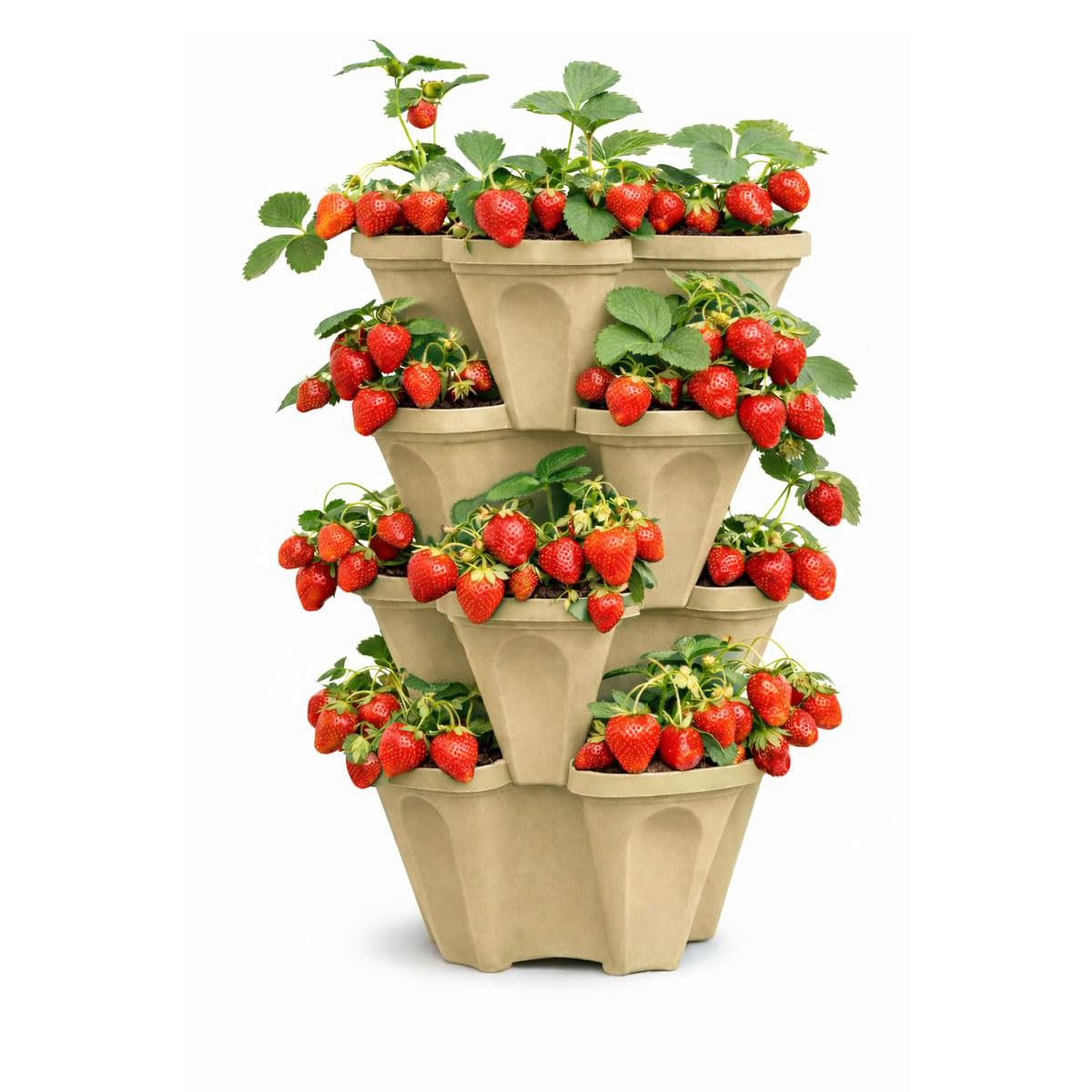 smart spring 4-Tier Desert Sand
