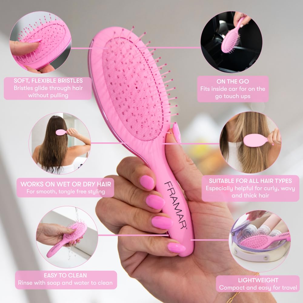 FRAMAR Mini Hair Brush Women, Mini Hairbrush, Small Hair Brush Detangler, Hairbrushes for Women Travel Brush - Image 2
