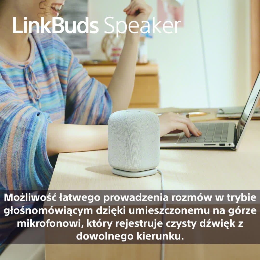 Sony LinkBuds Speaker przenośny bezprzewodowy głośnik Bluetooth ze stacją ładującą, IPX4, wodoodporny, 25-godzinny akumulator, jakość dzwonka, głośnik domowy, szary