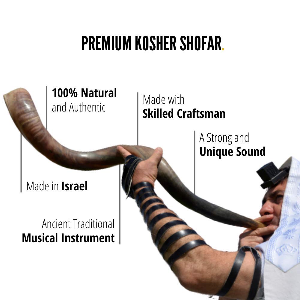 Half Polished Kosher Shofar from Israel, Kudu Shofar Horn, Officially Signed Certificate, Made in Israel (43