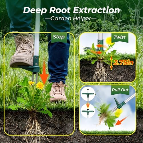 Walensee Weed Puller, Stand Up Weeder Hand Tool, Long Handle Garden Weeding Tool with 3 Claws, Hand Weed Hound Weed Puller for Dandelion, Standup Weed Root Pulling Tool and Picker, Grabber (1 Pack) - 2