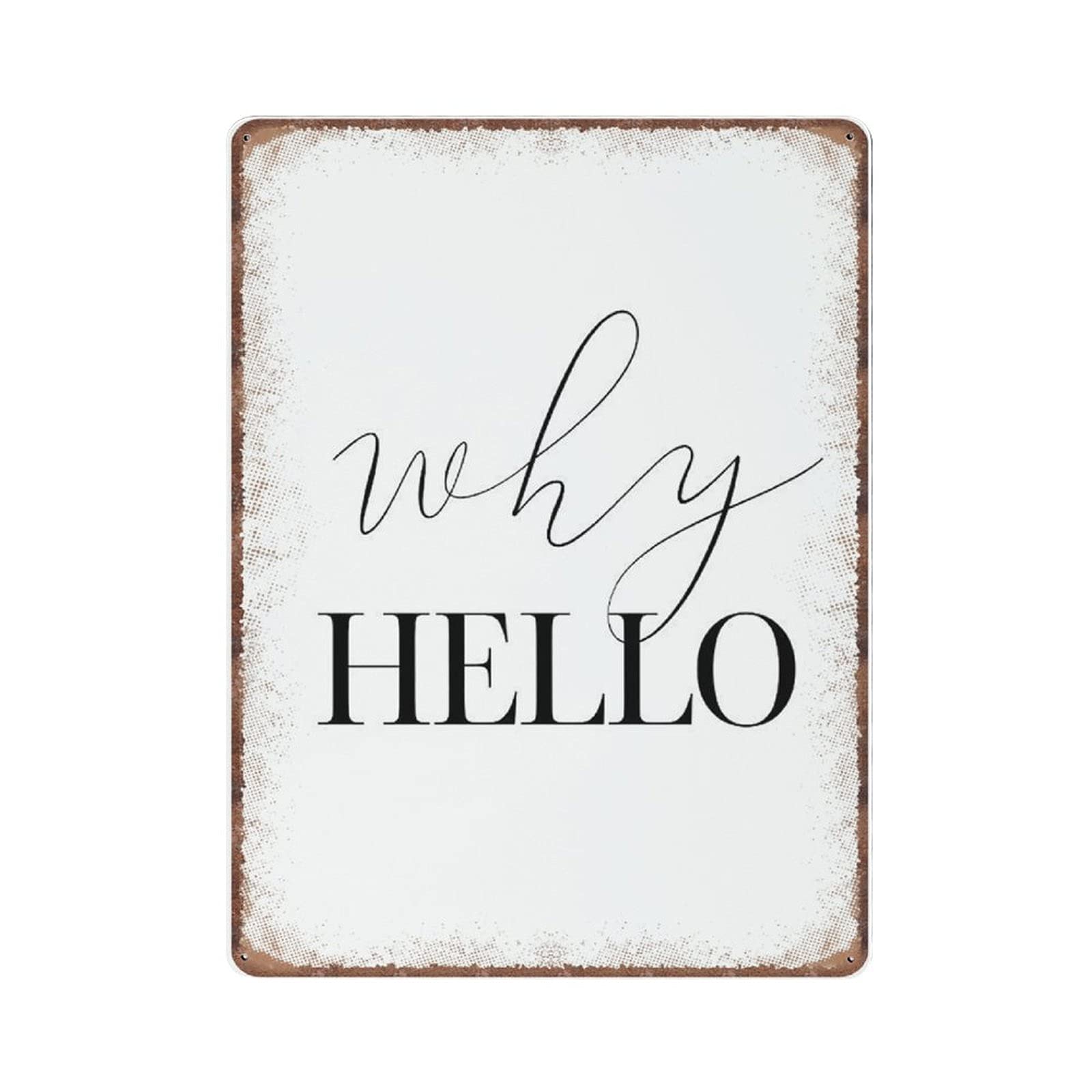 rayprint Why Hello Tin Signs, Inspirational Wall Art Funny Vintage Metal Sign Plaqu Poster Pub Bar Kitchen Garden Bathroom Home Decor, 30x40 cm