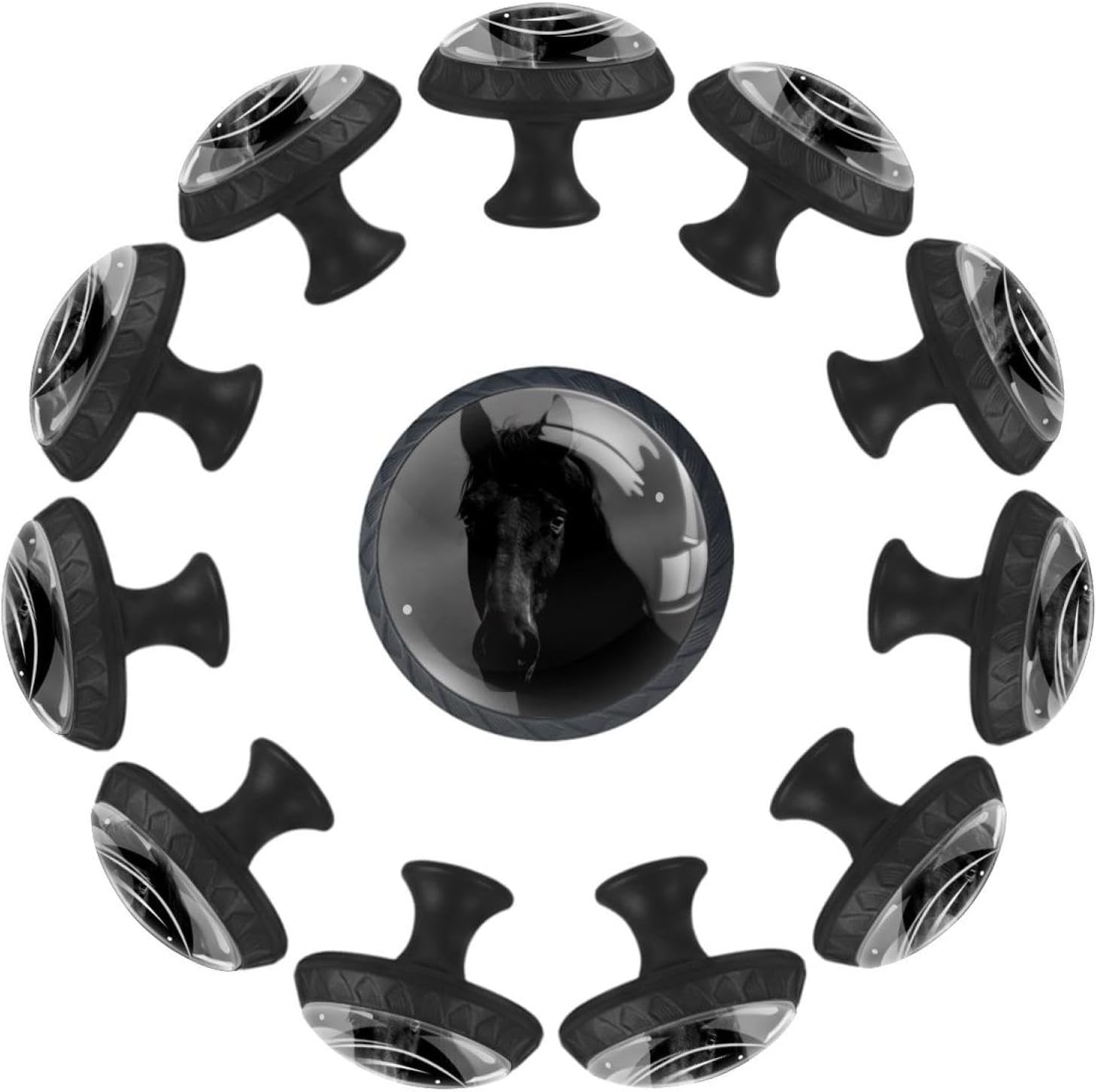 Black Beetles Bugs Insect (2) Indoor Cabinet Knobs, Decorative Glass Pulls for Drawers and Cabinets