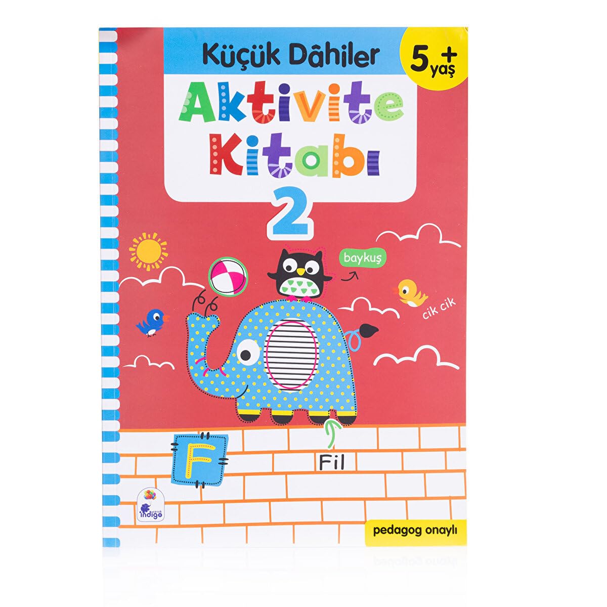 Aktivite Kitabı 2 - Küçük Dahiler 5+Yaş: Pedagog Onaylı