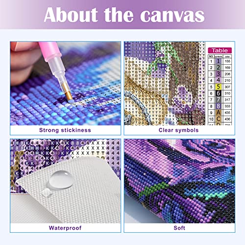 MXJSUA 5D Diamond Painting Kit Completo Gnomi