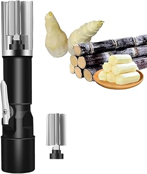 Electric Sugar Cane Peeler, Automatic Sugarcane Scraping Machine with Protective Cover, Speed 7500rpm, Double-layer Waterproof Design, for Coconut, Pumpkin, Winter Melon, Taro, Pineapple