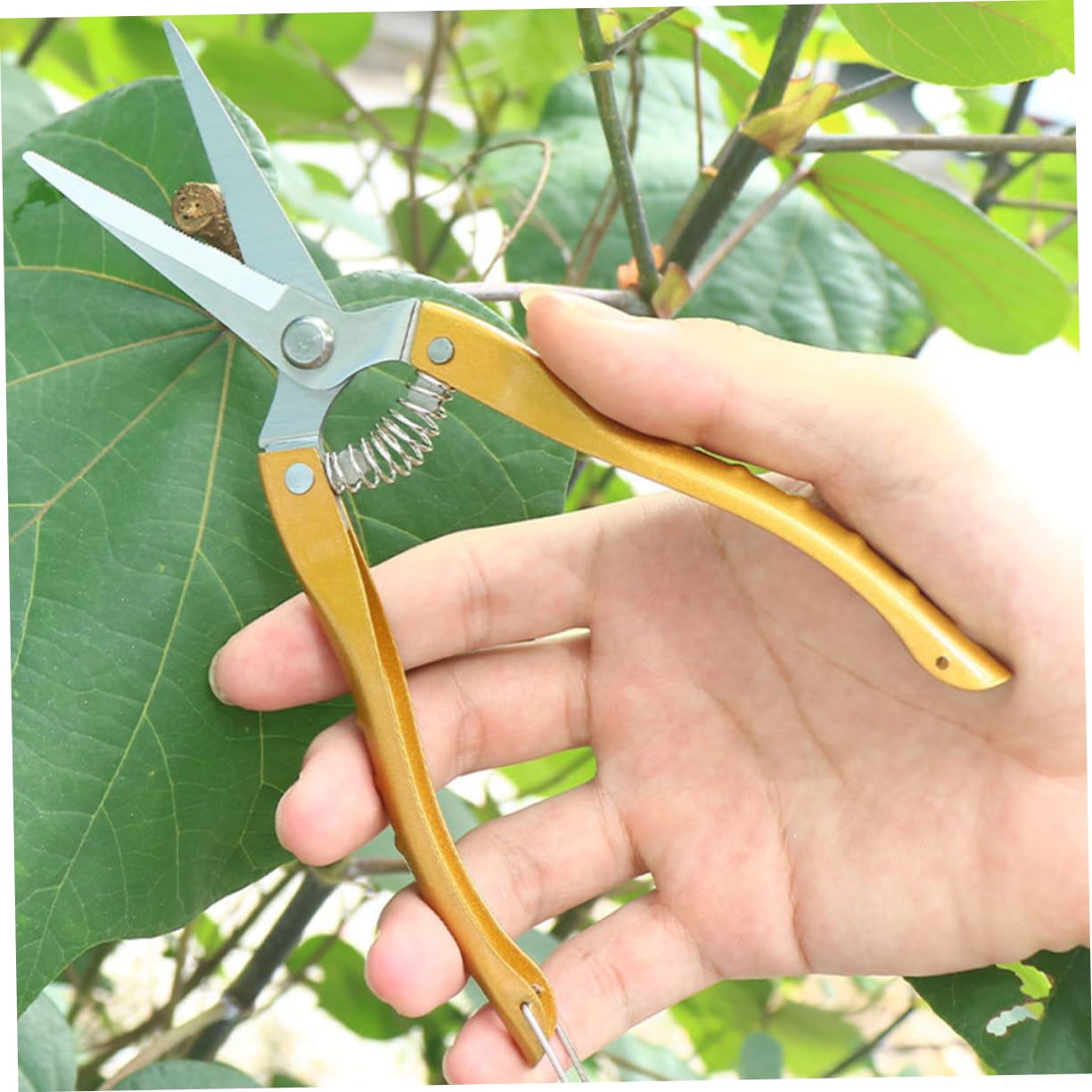 BESTonZON 20piezas Tijeras De Jardín De Inoxidable Para De Jardinería Tijeras Ergonómicas Para Diseño Cómodo