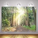 Spring Easter Forest Grassland Backdrop for Pictures Nature Sunshine Tree Wall Decor Photography Bac