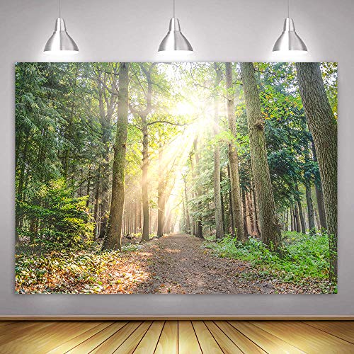 Spring Easter Forest Grassland Backdrop For Pictures Nature Sunshine Tree Wall Decor Photography Background Grass Newborn Baby Shower Kids Selfie Photoshoot Banner Bjxyme250 (10X7Ft) #TOP9
