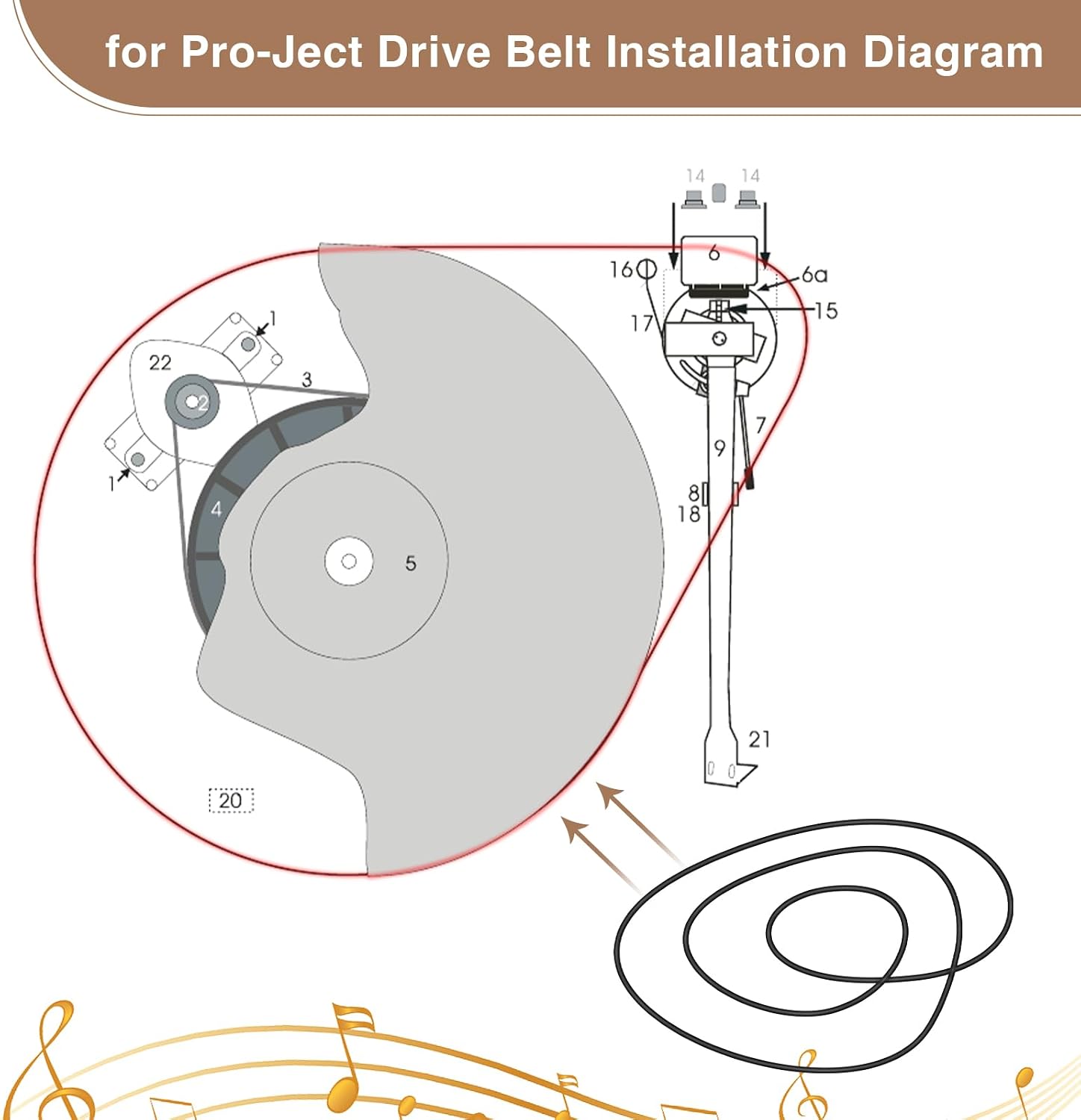 Turntable Drive Belt for Pro-Ject, Compatible with Pro-Ject Essential I, II, III Turntable, Also for Debut Series, xPression and RPM 5.1, RPM 6.1 Turntables