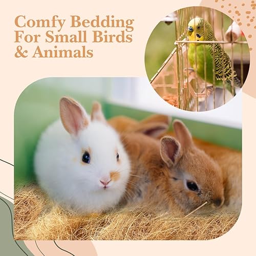 Miniatura 7 de Urban Thumb & Co Fibra de coco ultra premium, cubierta superior para plantas de interior/exterior, compacta para vida urbana, 9 onzas