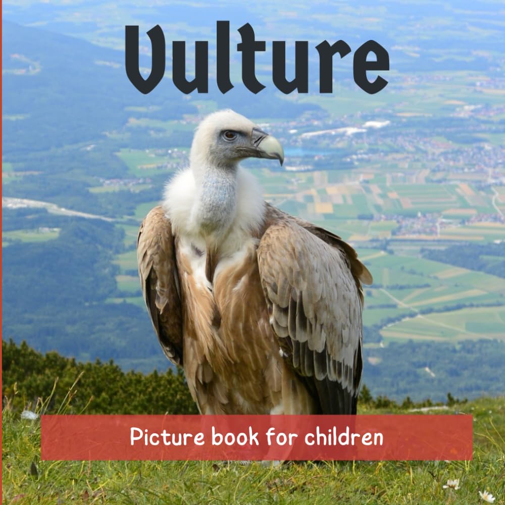 Vulture: Picture book for children