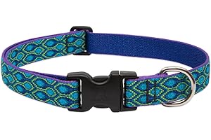 Originals 1 Rain Song Lupine Dog Collar