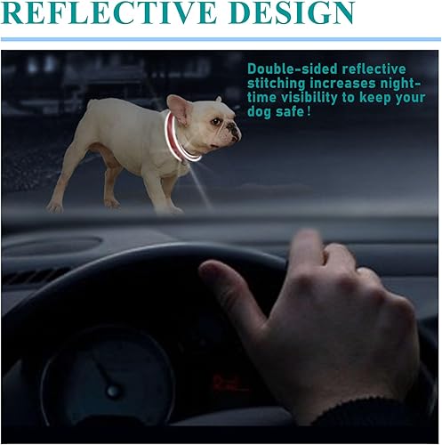 Miniatura 10 de Collares de perro personalizados con placa de nombre, etiquetas de identificación de placa de nombre grabadas con collar de perro de nailon