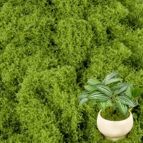 3.53 OZ Fake Green Moss - MAQIHAN Artificial Moss for Plants Indoor Faux Moss for Planters Fake Grass Decor for DIY Decorating Craft Moss Art Potted Wedding Accessories Fairy Garden Accessories
