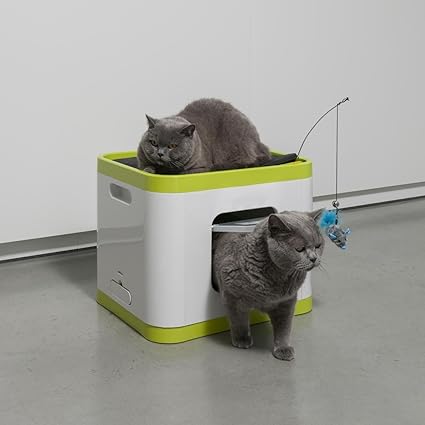 cube litter box