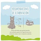 Ver la foto 3