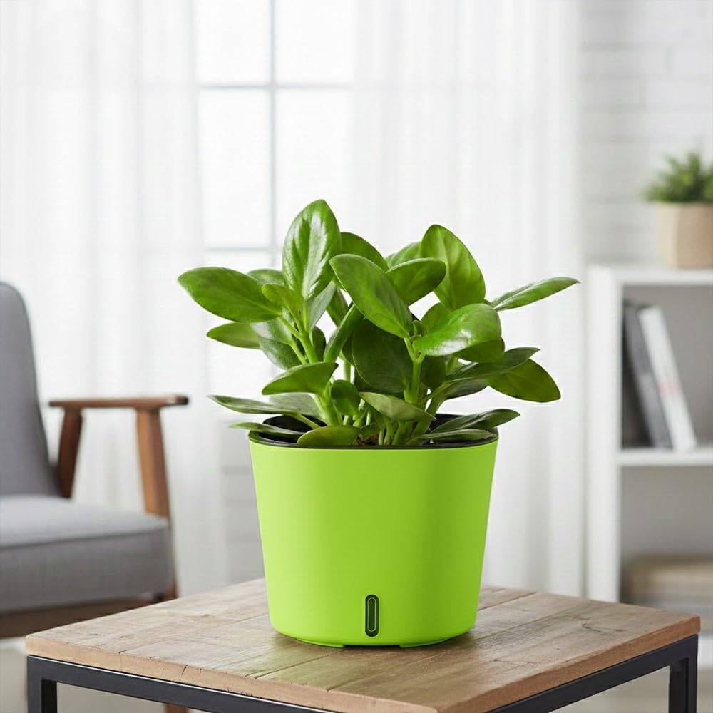 GARDENCIA Self Watering Pots - Modern Plant Cachepots -14 GARDENCIA Self Watering Pots - Modern Plant Cachepots -14