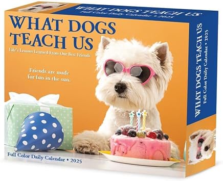 What Dogs Teach Us 2025 Box