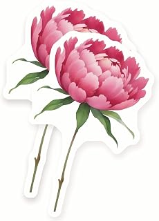 Pink Peony Magnets - Floral Kitchen Decor - Aesthetic Flower Art - 2 Pack - 5" Design - Sticks to Fridges, Lockers, Toolboxes & More - Made in USA - AQM25347