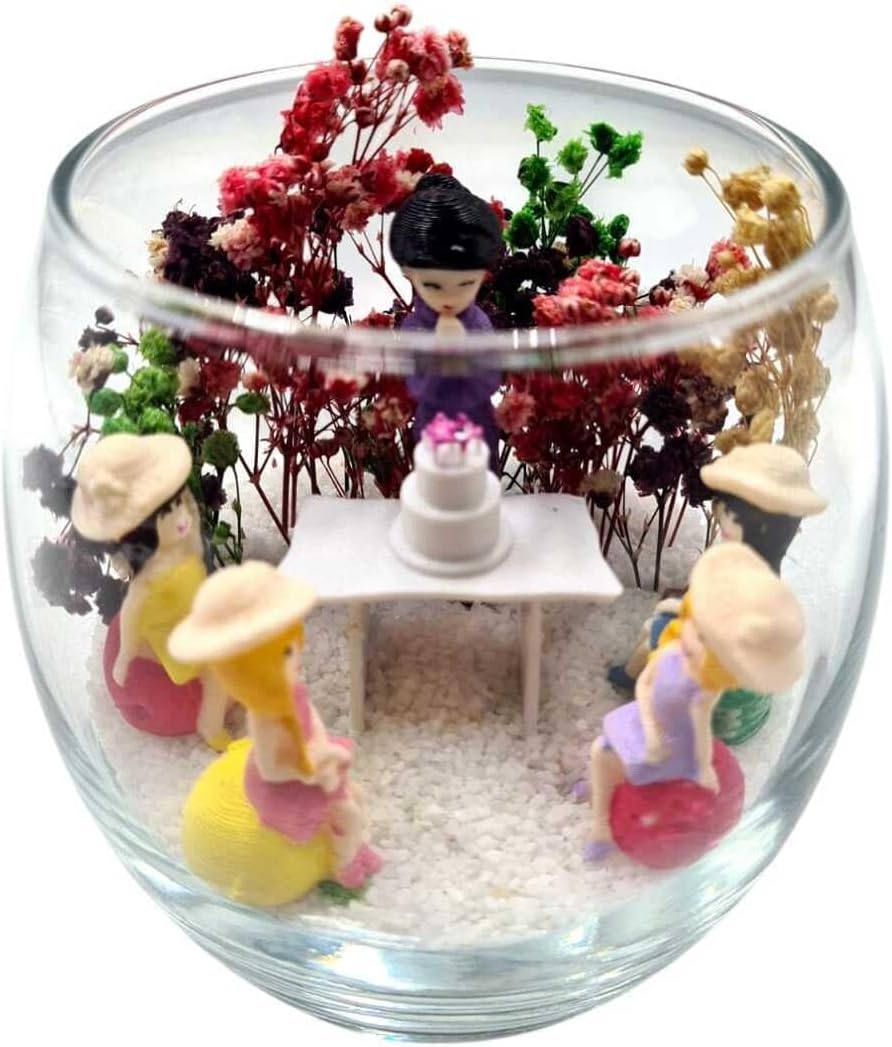 SODEF Terrarium Happy Birthday 5 Girlfriends Special Series, Unique Decorative Glass Planter Gift for Friends, One Size - One Size