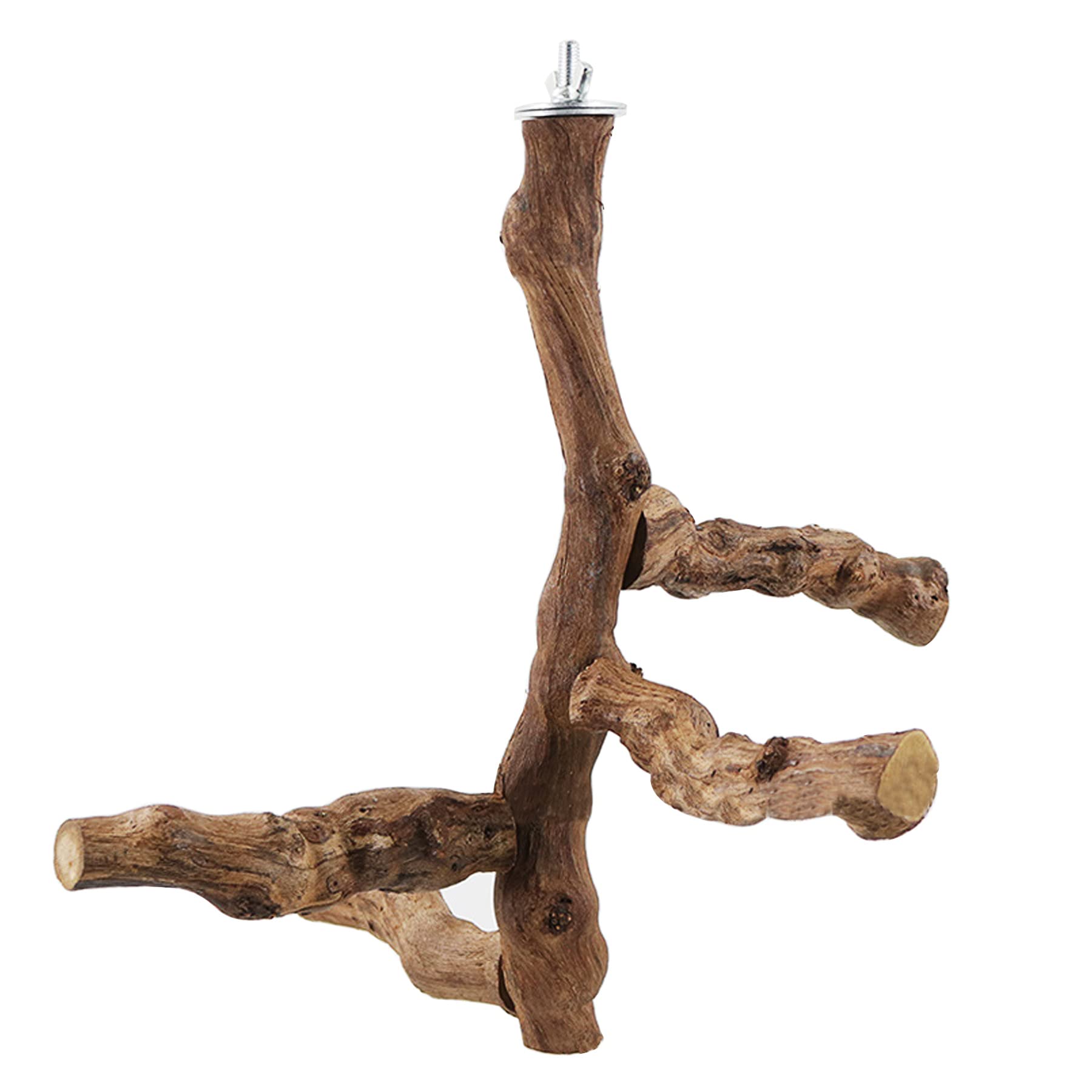 Allazone Lot de 6 perchoirs à Oiseaux naturels avec Jouets à mâcher en Vigne Naturelle pour perroquets, perruches, calopsittes, Conures, aras, inséparables - 5