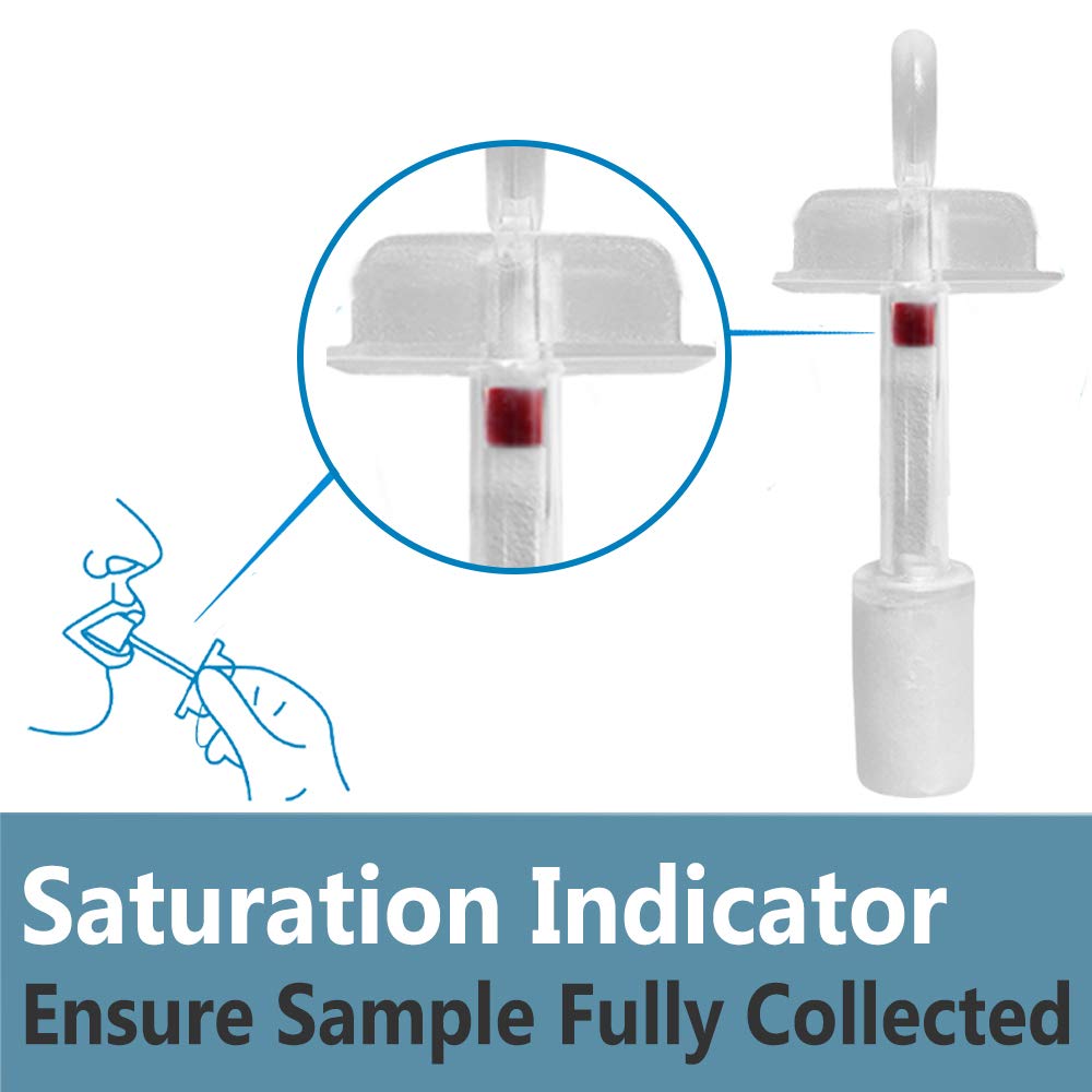 Prime Screen [25 Pack] 6 Panel Oral Saliva Drug Test Kit, Employment and Insurance Testing (AMP, COC, MET, OPI, PCP, THC) - ODOA-166