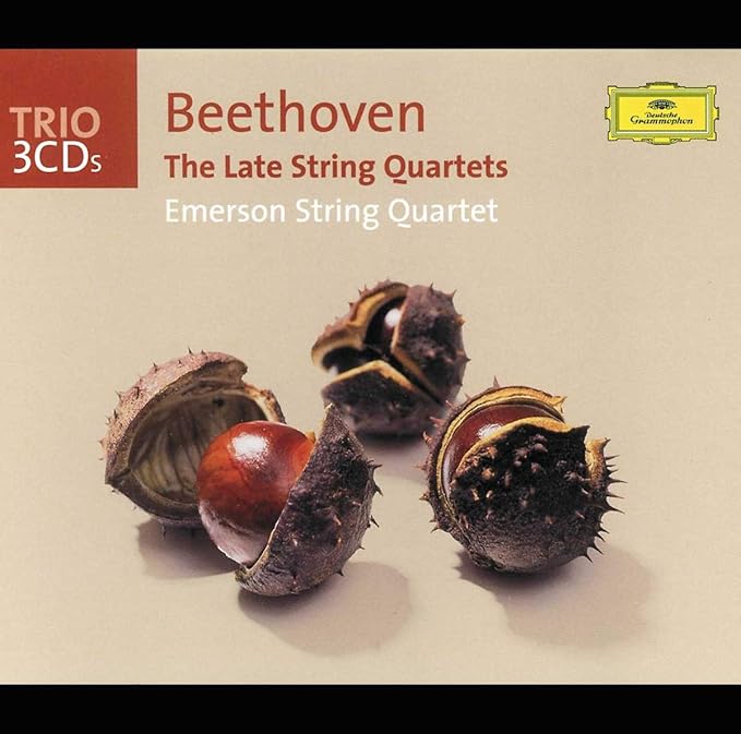 southwest late checked bolsa