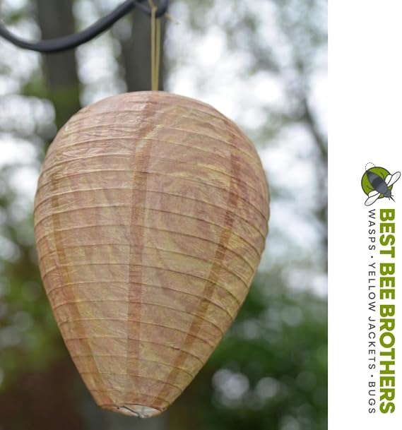 Best Bee Brothers Wasp Nest Decoy, Collapsible Fake Wasp Nest (2 Pack) - Deterrent for Wasps and Yellowjackets