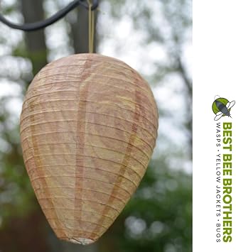 Best Bee Brothers Wasp Nest Decoy, Collapsible Fake Wasp Nest (2 Pack) - Deterrent for Wasps and Yellowjackets