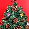 30 Pieces Christmas Natural Pine Cones Rustic Natural Pine Cone for Craft 3 Sizes Pinecones with Wired Pick Pinecones Ornaments for Christmas Tree Decoration Thanksgiving Fall Home Decor #4