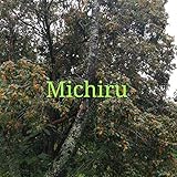 michiru makuuchi twitter  Michiru