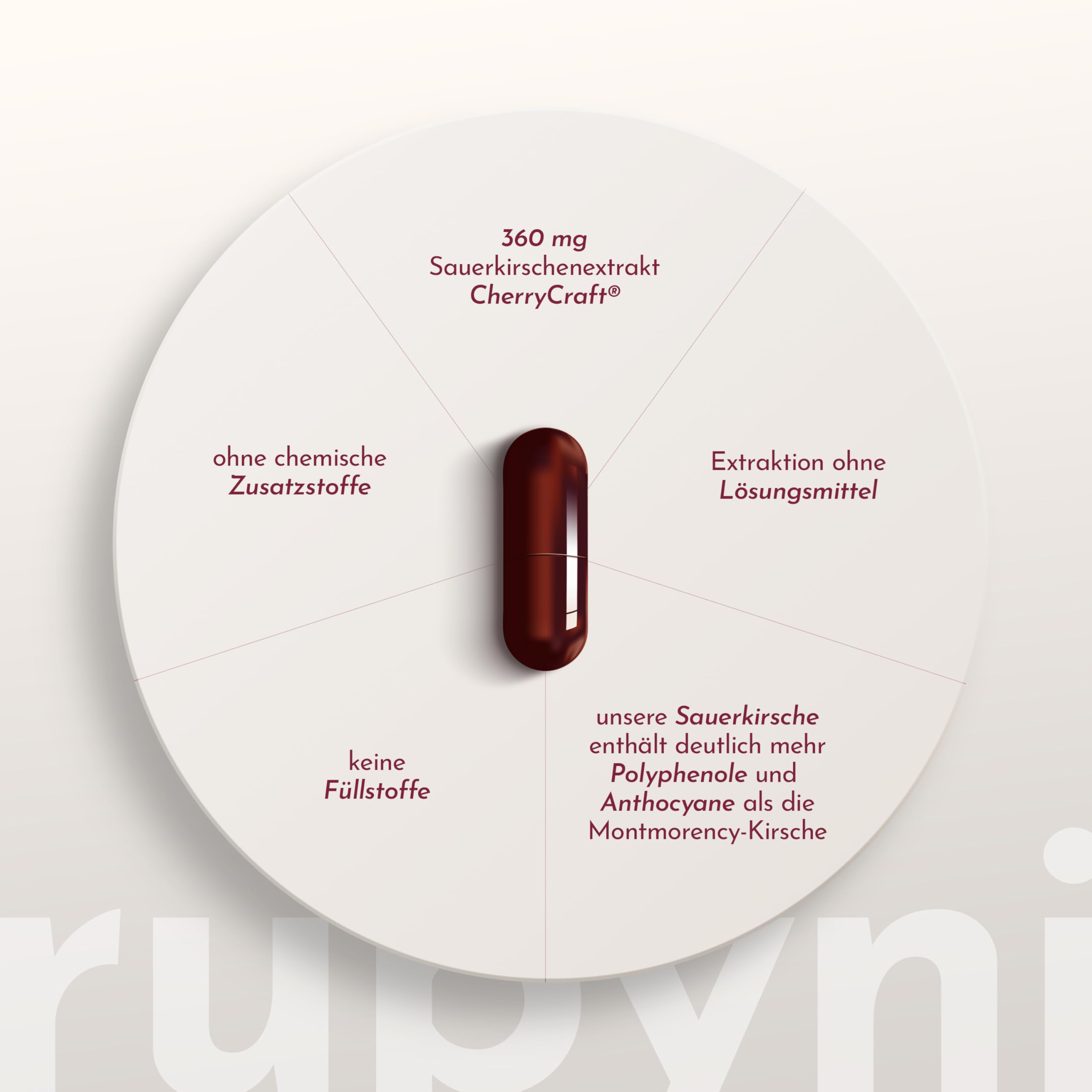 Sauerkirsche - 90 Kapseln - Vegan, gluten- & laktosefrei | 360mg Sauerkirschenextrakt pro Kapsel (= 112.000mg Kirschen pro Tagesdosis) - CherryCraft - 100% Rein & Laborgeprüft