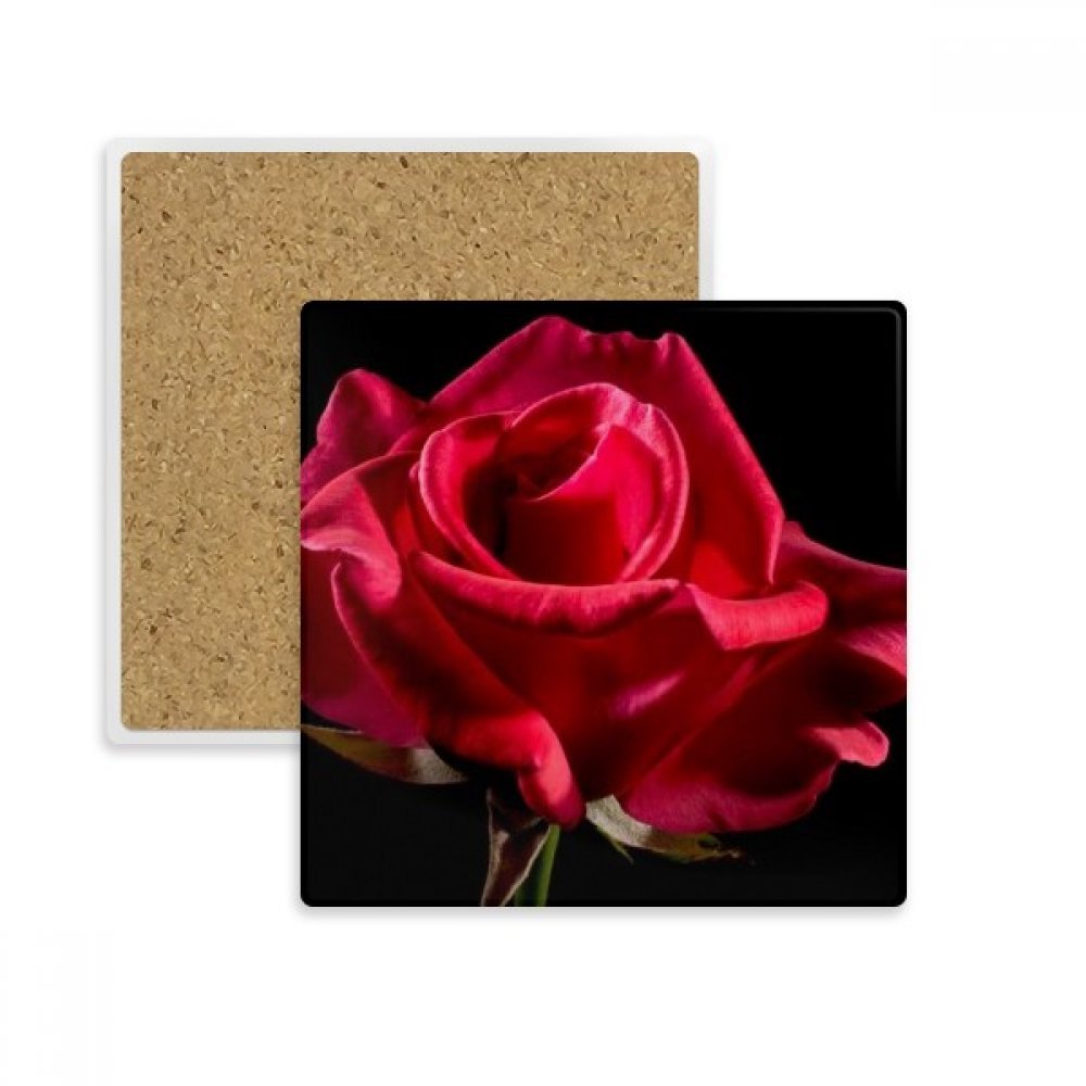 Tasse coaster pierre absorbante anti-condensation pour verres